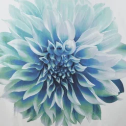 72"x72" Bridget Cotton Percale Shower Curtain -Furniture Promotion Shop GUEST 06f3d3c7 3e8d 4223 840f d455353e2d55