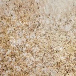 (Set Of 2) 22" X 28" Glimmer Hand Brush Embellished Canvas Gold -Furniture Promotion Shop GUEST 36f29482 83ec 4099 9ccb 6dba2b46c200